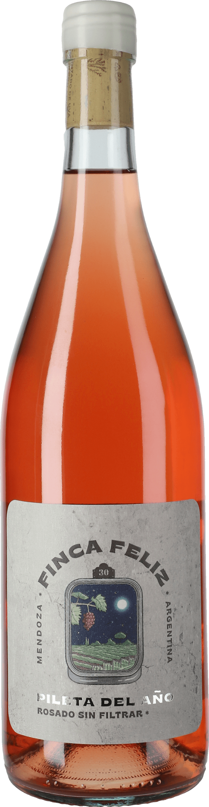 Pileta del Año Rosado Rosé - Weinflasche bei Wine Room