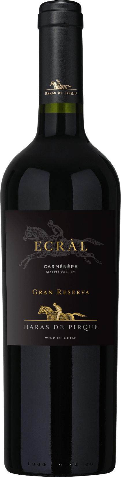 Flasche Ecràl Carménère Gran Reserva 2021, Rotwein